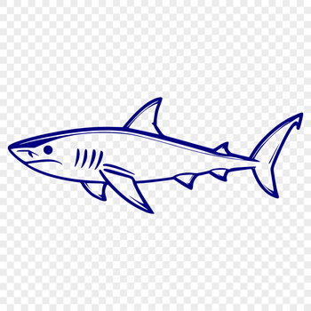 Illustration of a shark in a sea creature context, suitable for vector graphics and clip art designs.