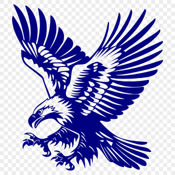 A detailed illustration of a majestic bird in full body pose, soaring through the sky with wings outstretched.