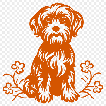 A breed-specific illustration of a Havanese dog in full body pose, sitting comfortably.