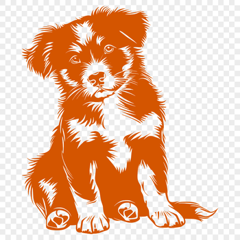 Close-up of a sitting Australian Shepherd dog with its head and body visible.