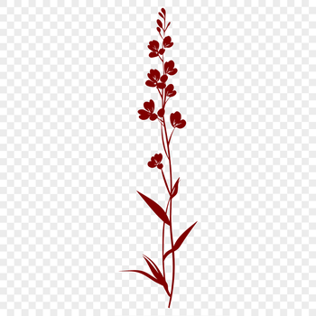 A stylized illustration of a wild flower in bloom, suitable for vector graphics.