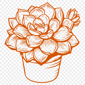 A stylized illustration of a succulent plant, suitable for various designs and crafts.