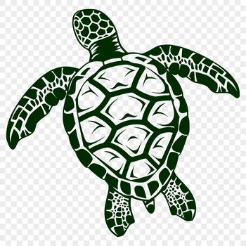 Close-up illustration of a sea turtle in its natural habitat, suitable for vector design projects.
