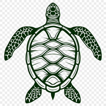 A vector graphic representation of a sea turtle showcasing its distinctive shell and flippers.