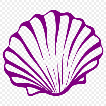 A stylized illustration of a seashell, ideal for decorating or designing beach-themed items.