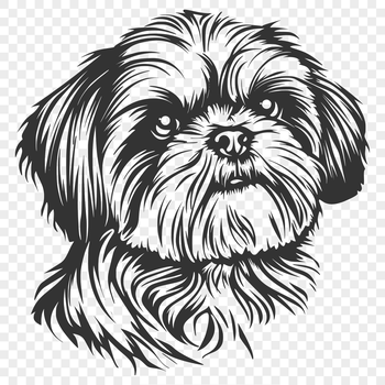 Close-up illustration of a small Shih Tzu dog's head and face.