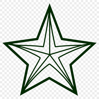 A stylized star design created as a vector graphic.