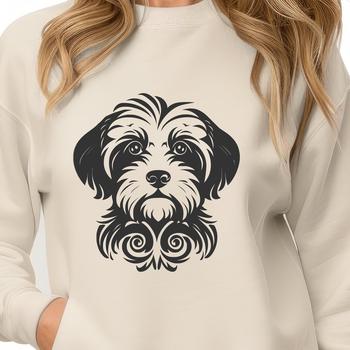 A small breed dog with a curly coat and sweet expression, identified as a Havanese.