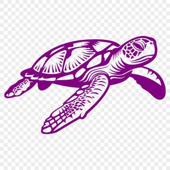 An SVG vector art representation of a sea creature commonly found in seaside environments.