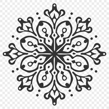 A delicate, symmetrical snowflake design made from intricate vectors.