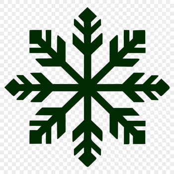 A delicate, intricate snowflake silhouette created in vector format.