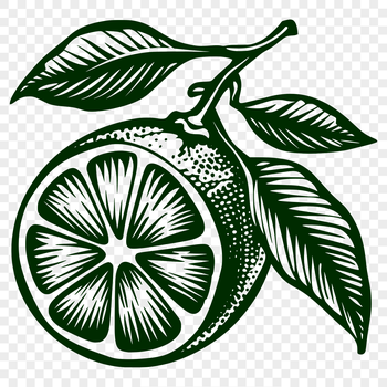 A graphic representation of a lemon, suitable for various applications.