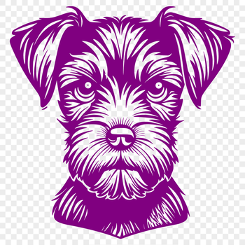 A detailed illustration of a Miniature Schnauzer's head, suitable for vector graphics.