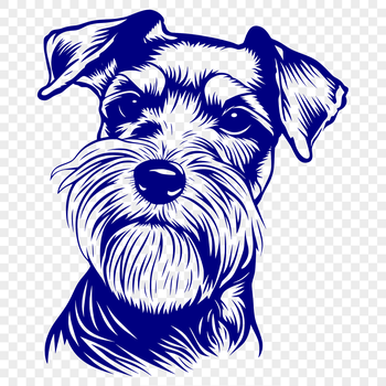 A small dog breed, the Miniature Schnauzer, depicted in detailed vector graphics.