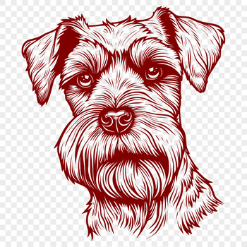 A small breed dog with a distinctive beard and mustache, suitable for clip art or vector design.
