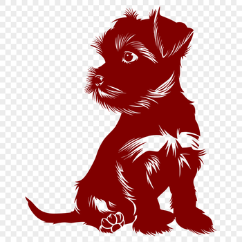 A small breed dog with a distinctive beard and mustache is sitting on its haunches.