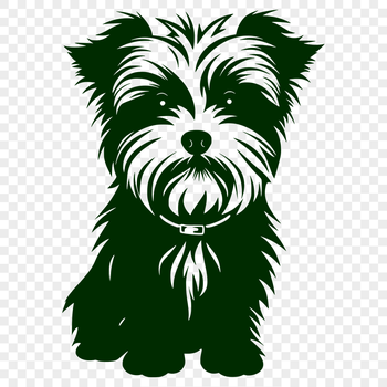 Stunning Morkie PDF