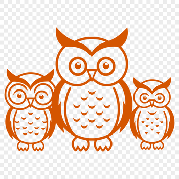 Unique Owl Design