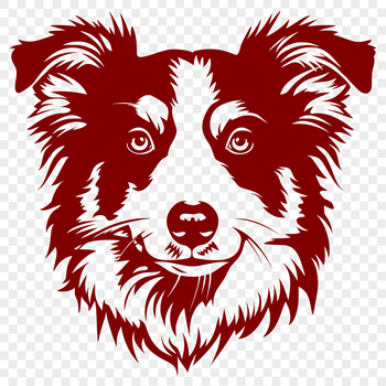 Illustration of a head-on view of an Australian Shepherd dog breed.