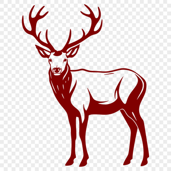 A detailed illustration of a deer in full body view, suitable for graphic design projects.