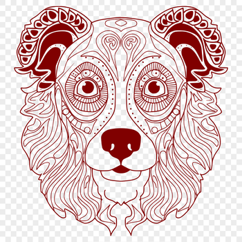 Australian Shepherd dog breed illustration in vector format