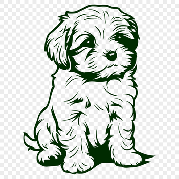 An SVG vector graphic representation of a cute Havanese puppy in a sitting position, ideal for crafting and design projects.