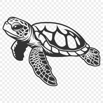 A detailed illustration of a sea turtle in full body view, suitable for vector graphics and digital design.