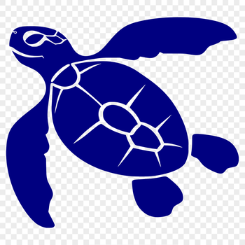 A detailed, full-body illustration of a sea turtle, showcasing its shell and flippers in a natural seaside setting.