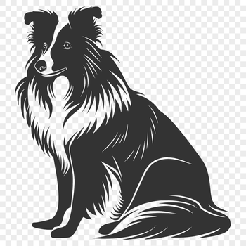 A breed-specific illustration of a Shetland sheepdog in a sitting position.