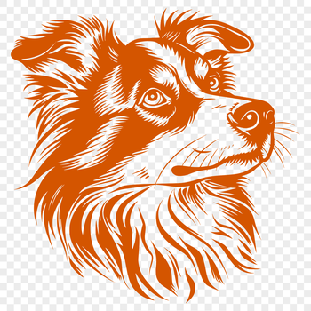 An illustration of a loyal Australian Shepherd breed dog, depicted in high detail for use as clip art or vector design.
