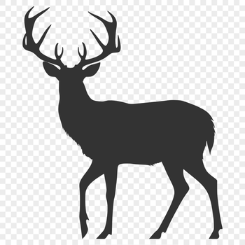 Beautiful Deer Design