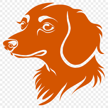 A Dachshund's head with a smooth, curved shape and floppy ears, designed as vector art for personal or commercial use.