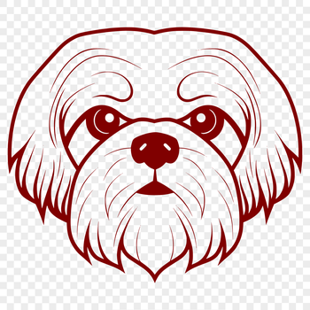Close-up illustration of a Shih Tzu's head with a calm expression.