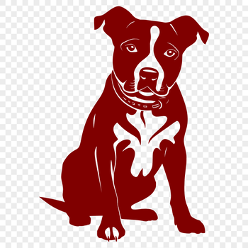 A close-up of a pitbull's face is not provided; this image shows the full body of the animal sitting on its haunches.
