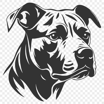 A detailed illustration of a pitbull's head from various angles.