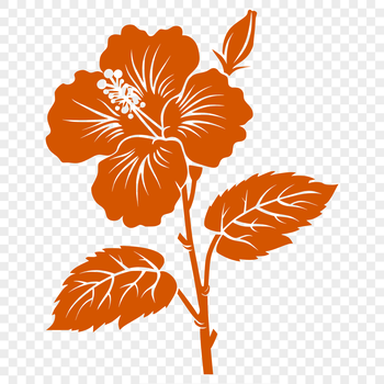 A high-quality illustration of a hibiscus flower, perfect for use in gardening and floral designs.