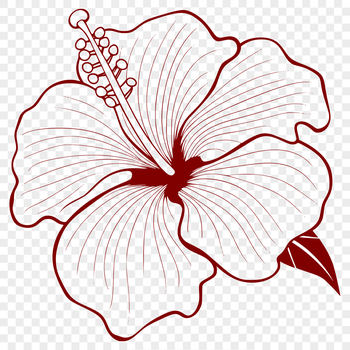 Vector illustration of a hibiscus flower with detailed petals and center.