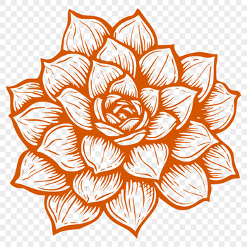 A stylized illustration of a succulent plant, ideal for vector graphics in designs.