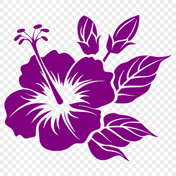 A detailed illustration of a hibiscus flower with symmetrical petals.