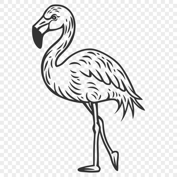 A large, pink flamingo standing on one leg in its natural habitat.