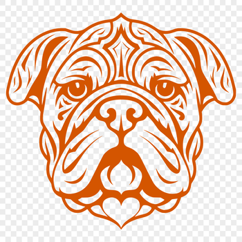 Close-up vector illustration of a bulldog's head, suitable for digital design projects.