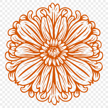 A high-quality illustration of a Chrysanthemum flower in bloom.