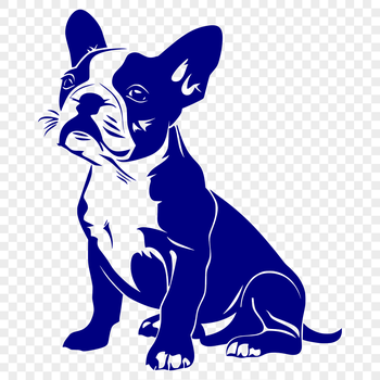 A full-body illustration of a Boston Terrier sitting, suitable for use in vector design projects.