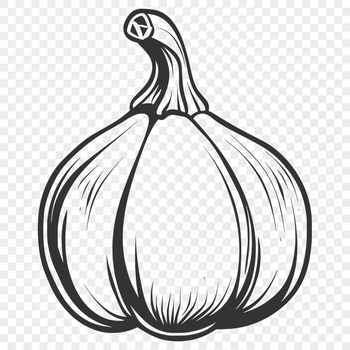 Free Unique Squash Clipart