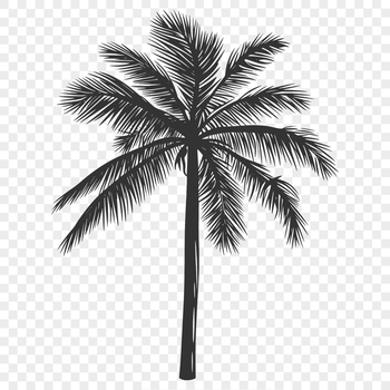 Illustrated palm tree graphic with swaying leaves and trunk, suitable for vector design projects.