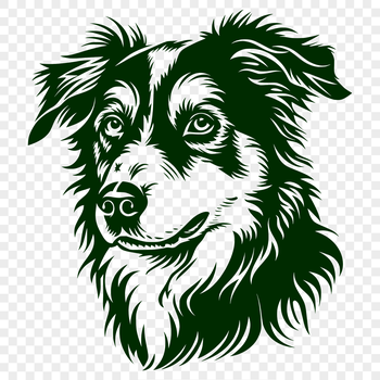 A portrait of a medium-sized dog with a blue merle coat and white markings.