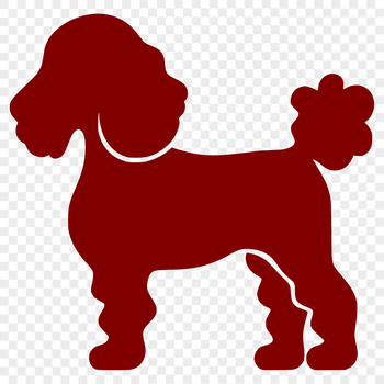 A standing poodle in full body silhouette form.