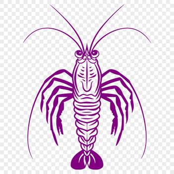 Free Shrimp Vector Image