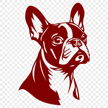 A detailed illustration of a Boston Terrier's head, suitable for vector graphics and cutting machine designs.