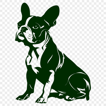 A vector graphic representation of a Boston Terrier in a seated position.